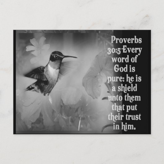 Proverbs 30:5 BIBLE SCRIPTURE with Hummingbird Briefkaart (Voorkant)