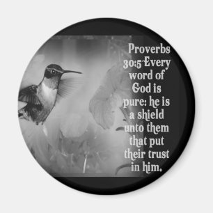 Proverbs 30:5 BIBLE SCRIPTURE with Hummingbird Magneet