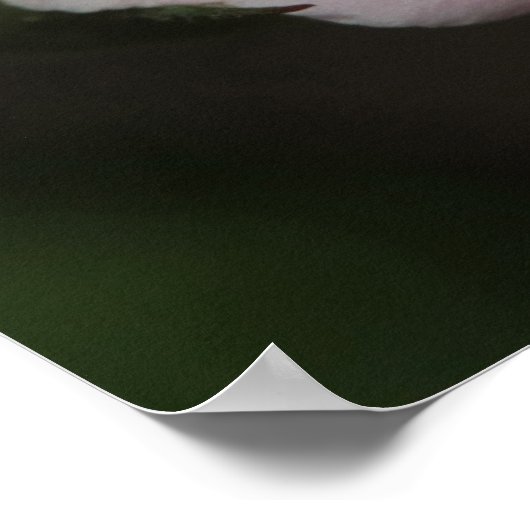 Proverbs 31:30 Afdrukken van scripts Poster (Hoek)