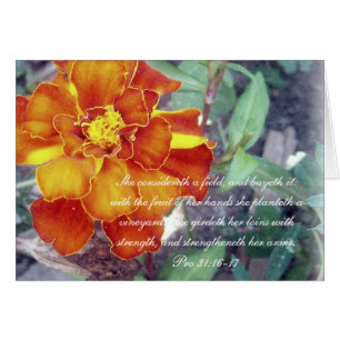 Proverbs 31 Collectie ~ Pro 31:16-17