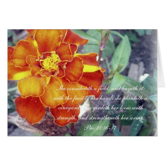 Proverbs 31 Collectie ~ Pro 31:16-17 (Voorkant Horizontaal)