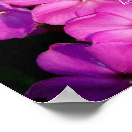 Proverbs 31 Collectie ~ Pro 31:28-29 Poster (Hoek)