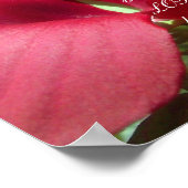 Proverbs 31 Collectie ~ Pro 31: 30-31 Poster (Hoek)