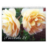 Proverbs 31 kalender (Hoes)