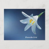 Proverbs 3: 3-4 Liefde en trouw moedig aan Briefkaart (Achterkant)