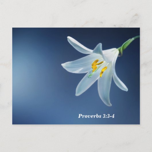 Proverbs 3: 3-4 Liefde en trouw moedig aan Briefkaart (Achterkant)