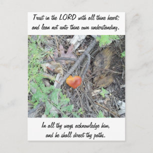 Proverbs 3:5-6 briefkaart
