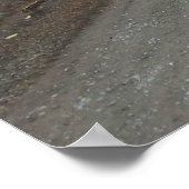 Proverbs 3:5-6 Christelijk Bijbelverse Poster (Hoek)