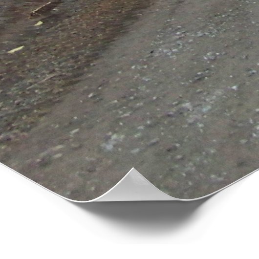 Proverbs 3:5-6 Christelijk Bijbelverse Poster (Hoek)