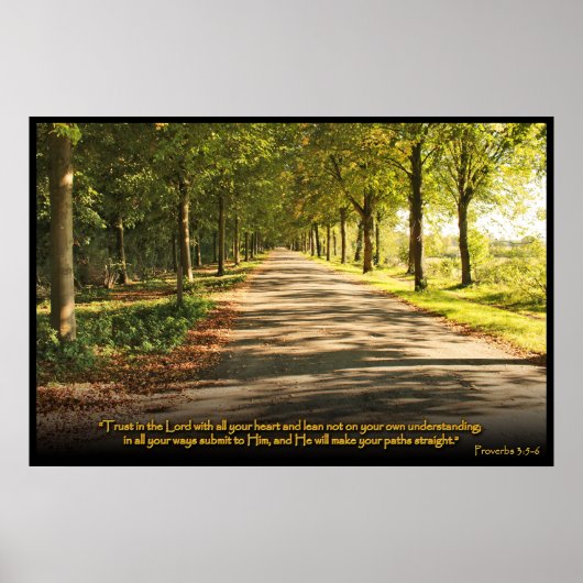 Proverbs 3:5-6 Christelijk Bijbelverse Poster (Voorkant)