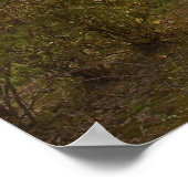 Proverbs 3; 5-6 | Inspirerend geschenken Poster (Hoek)