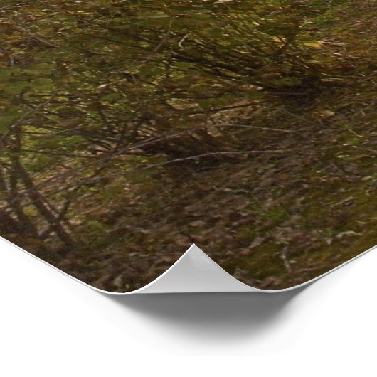 Proverbs 3; 5-6 | Inspirerend geschenken Poster (Hoek)