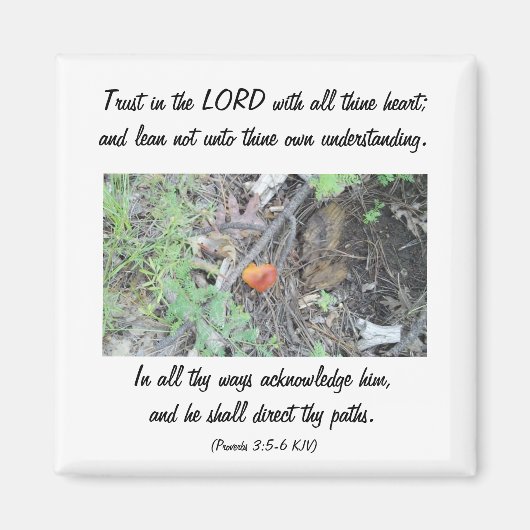 Proverbs 3:5-6 magneet (Voorkant)