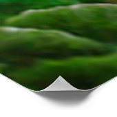 Proverbs 3:5-6 poster (Hoek)