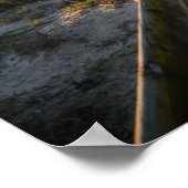 Proverbs 3:5-6 poster (Hoek)