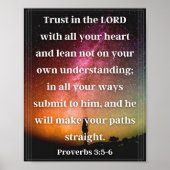 Proverbs 3:5-6 poster (Voorkant)