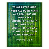 Proverbs 3:5-6 poster (Voorkant)