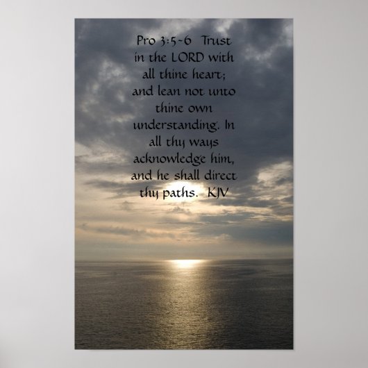 Proverbs 3:5- 6 poster (Voorkant)