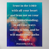 Proverbs 3:5-6 poster (Voorkant)