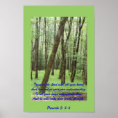 Proverbs 3: 5-6 poster met prachtige groene bomen (Voorkant)