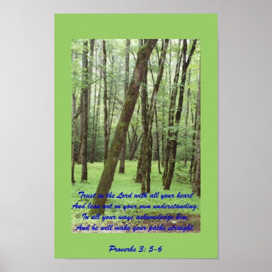 Proverbs 3: 5-6 poster met prachtige groene bomen (Voorkant)