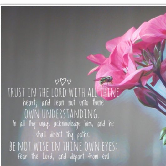 Proverbs 3:5-6 sticker (Voorkant)