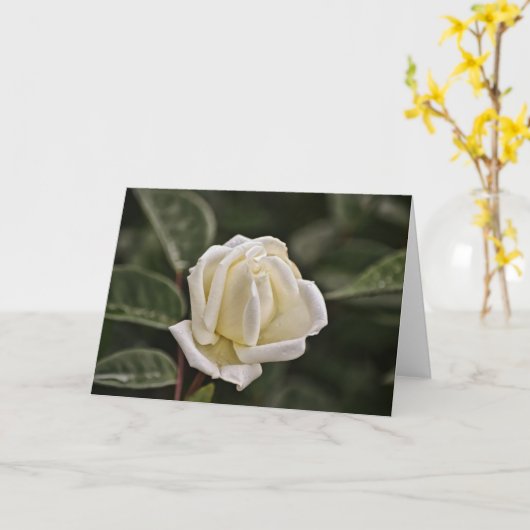 Proverbs 3 van de Kaart van de Manuscript van Whit (Gele Bloem)