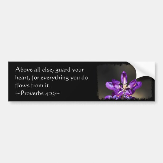 Proverbs 4:23 bumpersticker (Voorkant)