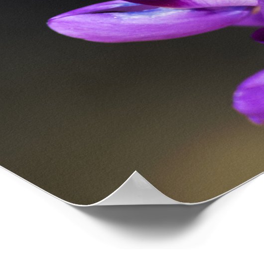 Proverbs 4:23 poster (Hoek)