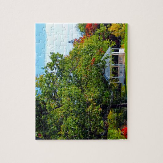 Providence Rhode Island Legpuzzel (Verticaal)