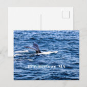 Provincetown Briefkaart (Voorkant / Achterkant)