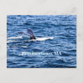 Provincetown Briefkaart (Voorkant)
