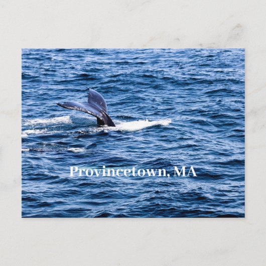 Provincetown Briefkaart (Voorkant)