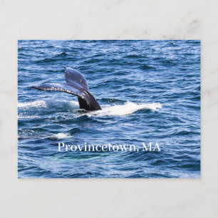 Provincetown Briefkaart