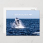Provincetown Briefkaart (Voorkant / Achterkant)