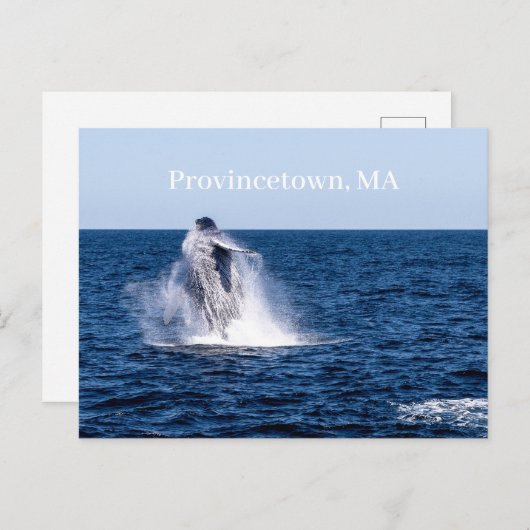 Provincetown Briefkaart (Voorkant / Achterkant)