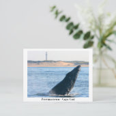 Provincetown - Cape Cod briefkaart (Staand voorkant)