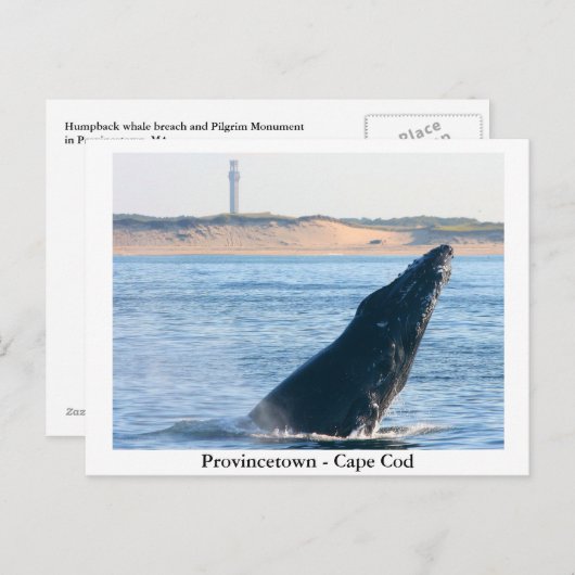 Provincetown - Cape Cod briefkaart (Voorkant / Achterkant)