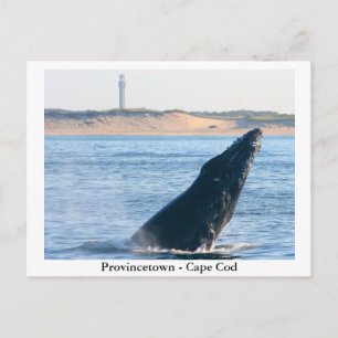 Provincetown - Cape Cod briefkaart