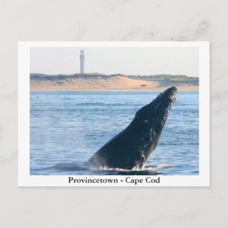 Provincetown - Cape Cod briefkaart