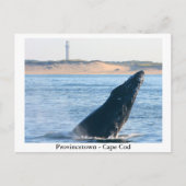 Provincetown - Cape Cod briefkaart (Voorkant)
