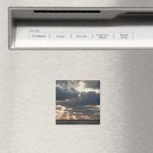 Provincetown, Massachusetts Magneet (Insitu (Vaatwasser))