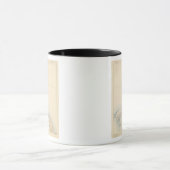 Provincetown, Massachusetts Mok (Midden)