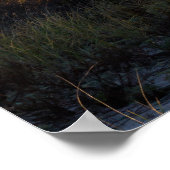 Provincetown Poster (Hoek)