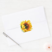 Provincetown Sunflower Vierkante Sticker (Envelop)