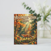 Provinciaal park Algonquin Canada Briefkaart (Staand voorkant)