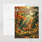 Provinciaal park Algonquin Canada Briefkaart (Voorkant / Achterkant)