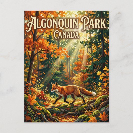 Provinciaal park Algonquin Canada Briefkaart (Voorkant)