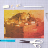 Provincie Fair Blue Ribbon Fruit  ontkoppeling Tissuepapier (Craft)