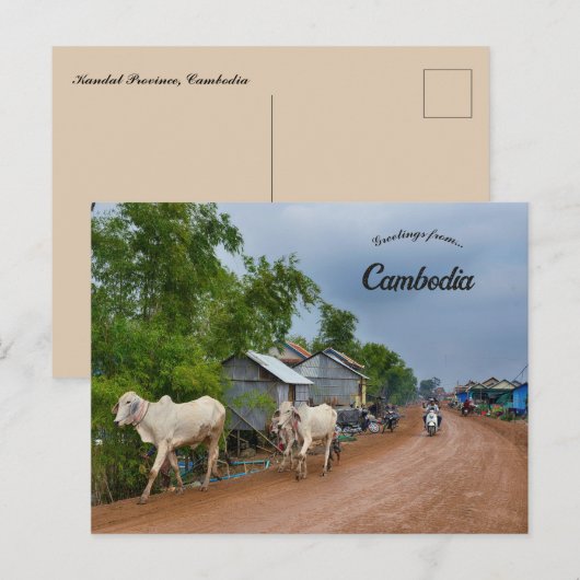 Provincie Kandal Cambodja Briefkaart (Voorkant / Achterkant)